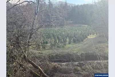 20970 Gooseneck Rd, Sheridan, OR 97378 - Photo 24