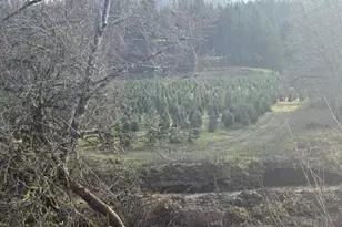 20970 Gooseneck Rd, Sheridan, OR 97378 - Photo 24