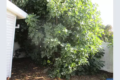 4730 Auburn Rd NE #123 Rd, Salem, OR 97301 - Photo 12