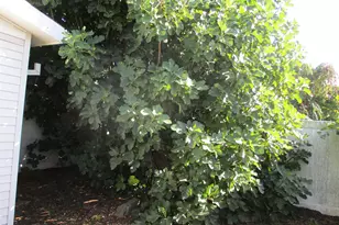 4730 Auburn Rd NE #123 Rd, Salem, OR 97301 - Photo 12