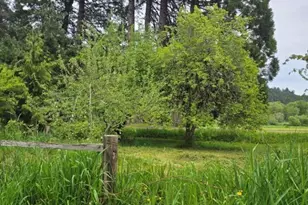 10195 Sweet Creek Rd, Mapleton, OR 97453 - Photo 2