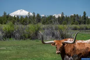 52255 Hunnington Rd, La Pine, OR 97739 - Photo 36