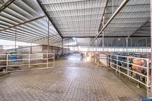 35725 Engle Rd, Albany, OR 97322 - Photo 8