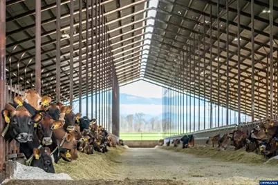 35725 Engle Rd, Albany, OR 97322 - Photo 6