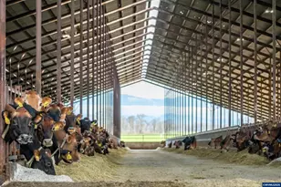 35725 Engle Rd, Albany, OR 97322 - Photo 6