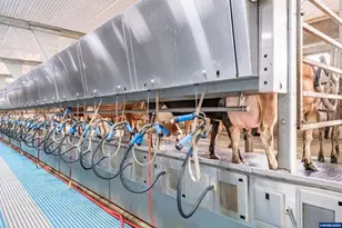 35725 Engle Rd, Albany, OR 97322 - Photo 22