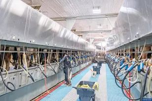 35725 Engle Rd, Albany, OR 97322 - Photo 24