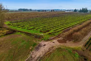 4797 St Paul Hwy, Saint Paul, OR 97137 - Photo 22