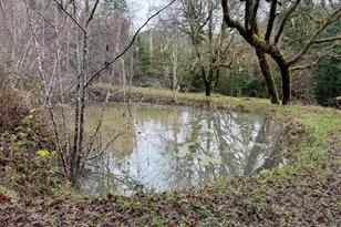 17463 Alsea (-17523) Hwy, Alsea, OR 97324 - Photo 32