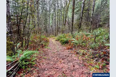 17463 Alsea (-17523) Hwy, Alsea, OR 97324 - Photo 46