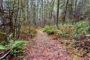 17463 Alsea (-17523) Hwy, Alsea, OR 97324 - Photo 46