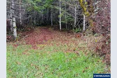 17463 Alsea (-17523) Hwy, Alsea, OR 97324 - Photo 48