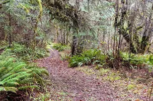 17463 Alsea (-17523) Hwy, Alsea, OR 97324 - Photo 44