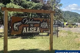 17463 Alsea (-17523) Hwy, Alsea, OR 97324 - Photo 46