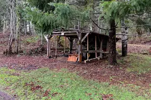 17463 Alsea (-17523) Hwy, Alsea, OR 97324 - Photo 38