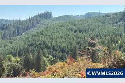 00 Van Horn Rd, Alsea, OR 97324 - Photo 4