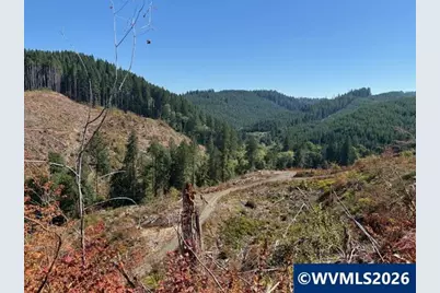00 Van Horn Rd, Alsea, OR 97324 - Photo 10