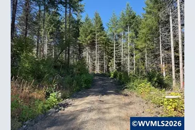 00 Van Horn Rd, Alsea, OR 97324 - Photo 16