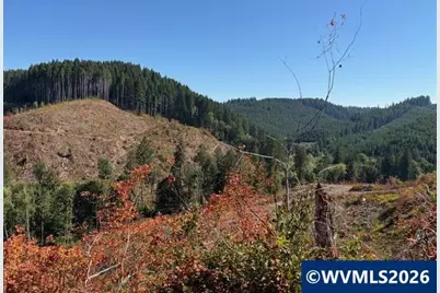 00 Van Horn Rd, Alsea, OR 97324 - Photo 2