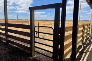 92950 Pitney Ln, Junction City, OR 97448 - Photo 28