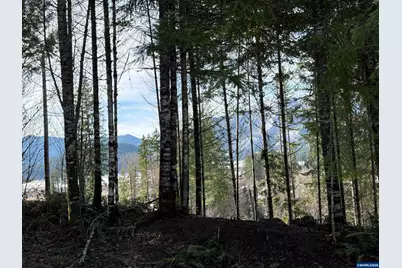 145 Scott Av S, Detroit, OR 97342 - Photo 8