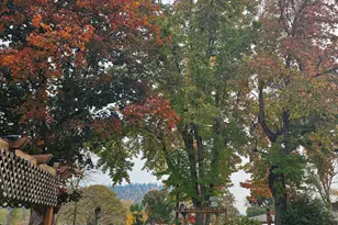 995 River St, Lebanon, OR 97355 - Photo 42