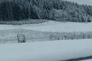 26191 Bruce Rd, Monroe, OR 97456 - Photo 24