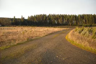 26191 Bruce Rd, Monroe, OR 97456 - Photo 18