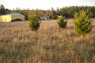 26191 Bruce Rd, Monroe, OR 97456 - Photo 16