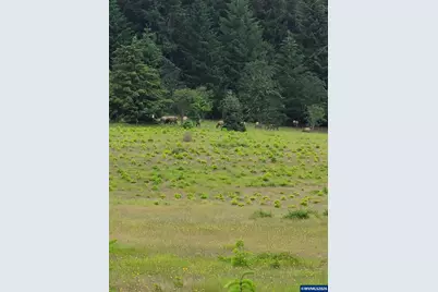 26191 Bruce Rd, Monroe, OR 97456 - Photo 20