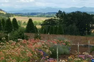 26191 Bruce Rd, Monroe, OR 97456 - Photo 26