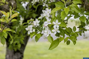 5704 NE Keene Rd, Gervais, OR 97026 - Photo 30