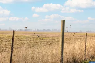 5704 NE Keene Rd, Gervais, OR 97026 - Photo 24