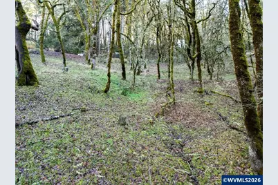 Lot 1100 Behind 5000 Crescent Valley Dr, Corvallis, OR 97330 - Photo 6