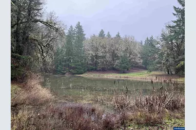 375 Pioneer Rd, Dallas, OR 97338 - Photo 46