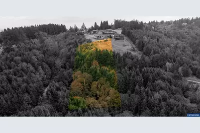 16997 SW Parrett Mountain Rd, Sherwood, OR 97140 - Photo 8