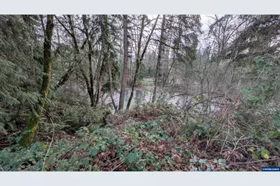 16150 S Riverview Rd, Molalla, OR 97038 - Photo 4