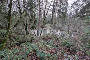 16150 S Riverview Rd, Molalla, OR 97038 - Photo 4