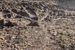 16150 S Riverview Rd, Molalla, OR 97038 - Photo 8