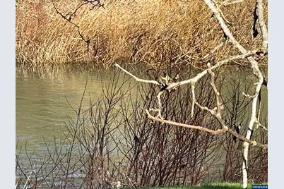 617 SW Monroe St, Sheridan, OR 97378 - Photo 4