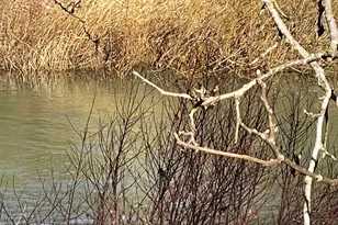 617 SW Monroe St, Sheridan, OR 97378 - Photo 4