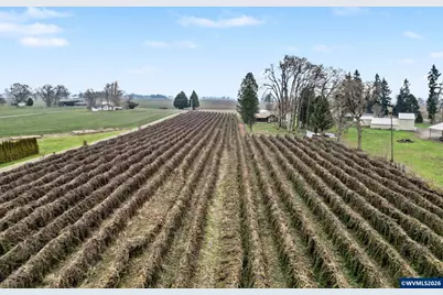 13763 NE French Prairie Rd, Gervais, OR 97026 - Photo 28