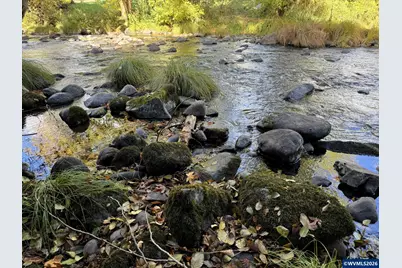 260 S Main St, Falls City, OR 97344 - Photo 46