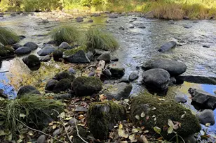 260 S Main St, Falls City, OR 97344 - Photo 46