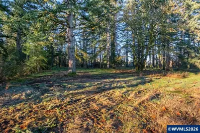 11997 Towers Dr, Stayton, OR 97383 - Photo 4