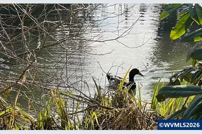 1905 Waverly (12) Dr SE #12, Albany, OR 97322 - Photo 6