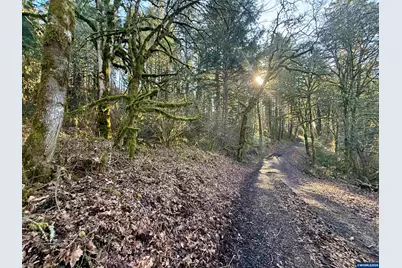 Tl 800 Siegmund Rd SE, Stayton, OR 97383 - Photo 8