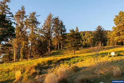 0 Vantage Rd, Manzanita, OR 97131 - Photo 12