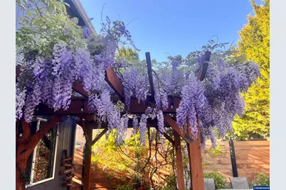 1254 Crystal Ln, Lafayette, OR 97127 - Photo 32