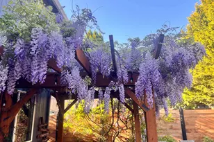 1254 Crystal Ln, Lafayette, OR 97127 - Photo 32